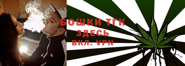 молекула духа Белоозёрский