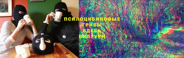 молекула духа Белоозёрский