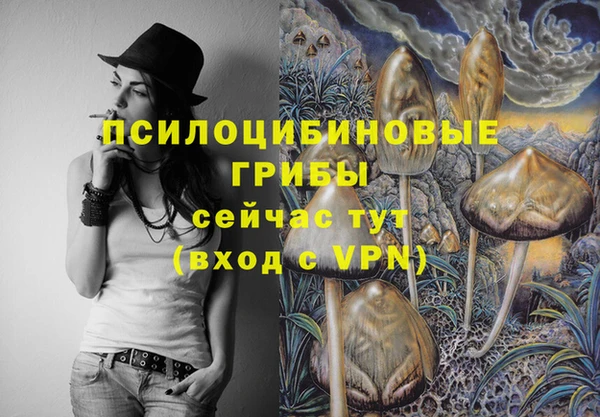 молекула духа Белоозёрский