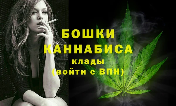 молекула духа Белоозёрский