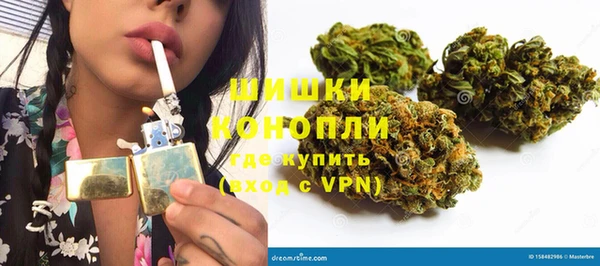 молекула духа Белоозёрский